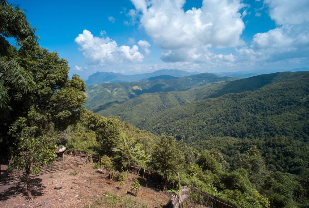 Jour 11